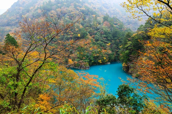 Красивый Природный Ландшафт Изумрудной Реки Середине Долины Осенний Сезон Японии — стоковое фото
