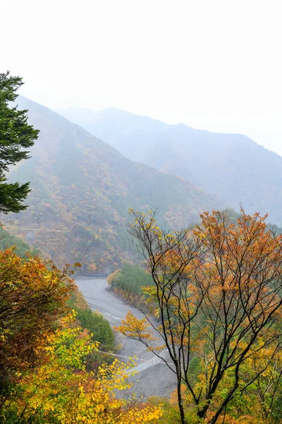 Malebné Japonsko Deštivém Dni Potokem Malým Dřevěným Mostem Podzimní Sezóně — Stock fotografie