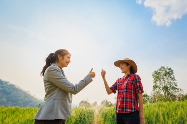 Asyalı iş adamları ve çiftçi kadınlar, arpa tarım arazisi seçici bakış açısına sahipler. 