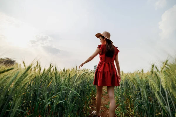 泰族女游客穿着红衣独自漫步在大麦田园和天际的阳光背景下 拍摄开阔的视角 — 图库照片