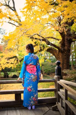 Japon mavisi kimonosu giyen Asyalı bir kadının güzel portresi Japonya 'nın sonbahar mevsiminde parkta dikiliyordu.  