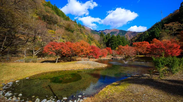 Lönn Höst Löv Säsong Floden Park Japanska Och Berg Med — Stockfoto