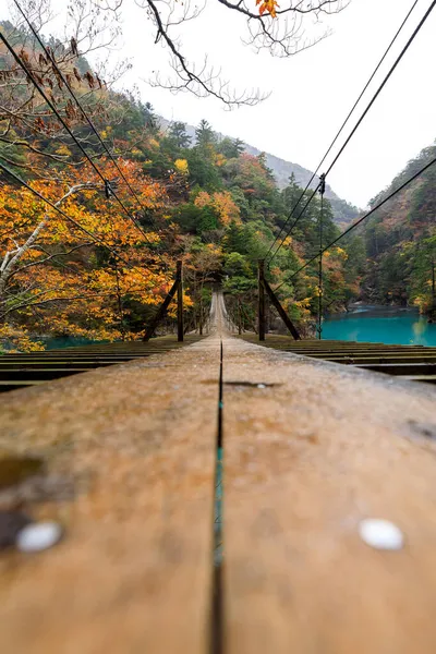 Faible Angle Vue Prise Vue Photographie Paysage Vue Suspension Pont — Photo