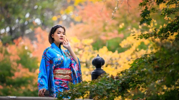 Portré Fiatal Ázsiai Visel Japán Kék Kimono Divat Történelem Áll — Stock Fotó