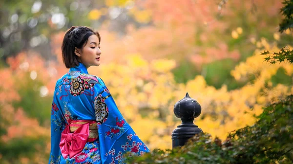 日本秋天时节 身穿日本蓝色和服的年轻亚洲女人站在公园里的肖像 — 图库照片