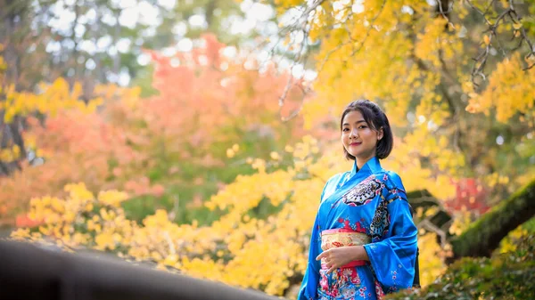 Retrato Jovem Asiático Mulher Vestindo Japonês Azul Kimono Moda História — Fotografia de Stock