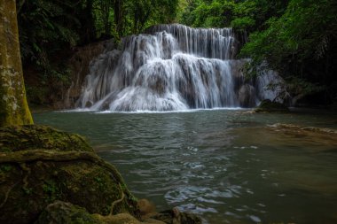 Hua Mea Khamin Şelalesi 'nde tropikal ağaçlar, eğrelti otları sabah ışığında şelalede büyüyen serin, temiz hava ve ormanda dinlenmek için sakin bir yer vardır. Karnchanaburi, Tayland.