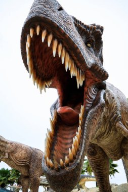 Açı görünümü yakın ve seçici odaklı göz büyük kahverengi dinozor sıva hayvanat bahçesinde ve beyaz arka plan üzerinde Tayland 