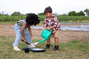 Amerikalı Afrikalı çocuklar, tarımda yetiştirilen sebzelere tohum ekmek için kabın içine koydukları toprağı nemli olarak suluyorlar. Çocuklar yaz konseptinde sebze yetiştirme oyunu oynuyorlar. 