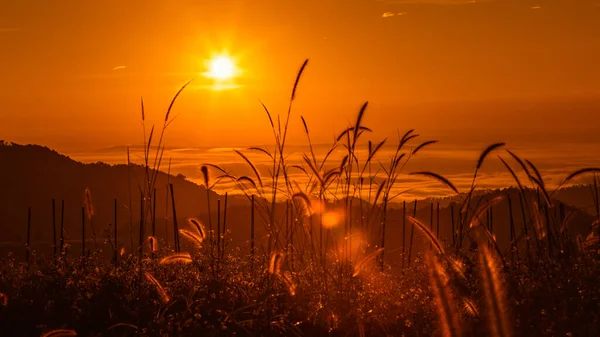 Landschaft Bunt Morgen Über Sonnenaufgang Und Nebel Hintergrund Und Vordergrund — Stockfoto