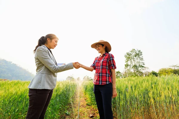 Azjatycki Biznes Rolnicy Kobiety Rozmowy Uścisk Dłoni Rolniczych Jęczmienia Ziemi — Zdjęcie stockowe
