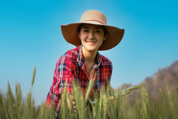 Joven Mujer Asiática Agricultora Con Camisa Cuadros Está Comprobando Progreso —  Fotos de Stock