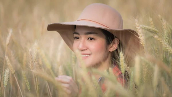 Young Asian Farmer Girl Plaid Shirt Hat Checking Barley Rice — Stock Photo, Image