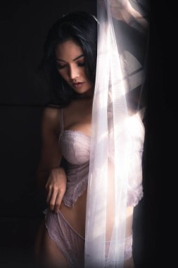 Sanat eserleri konsepti Thai model kadın iç çamaşırları içinde zayıf seksi kadın.