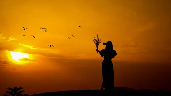 Silhouette Woman Holding Photocamera Smartphone Grass Flower Hand Taking Pictures — Stock Photo, Image