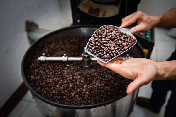 Rostat Kaffe Brunt Att Hålla Hand Chiang Rai Thailand — Stockfoto