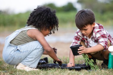 Amerikalı Afrikalı çocuklar, tarımda yetiştirilen sebzelere tohum ekmek için kabın içine koydukları toprağı nemli olarak suluyorlar. Çocuklar yaz konseptinde sebze yetiştirme oyunu oynuyorlar. 