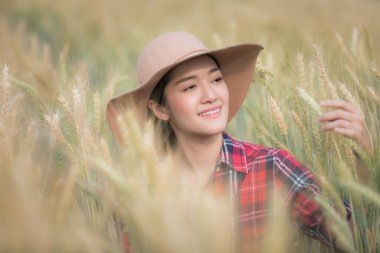 Ekose gömlekli ve şapkalı genç Asyalı çiftçi kız seçici odaklı akıllı çiftçi konseptiyle arpa pirinç portresinin portresini kontrol ediyor. 