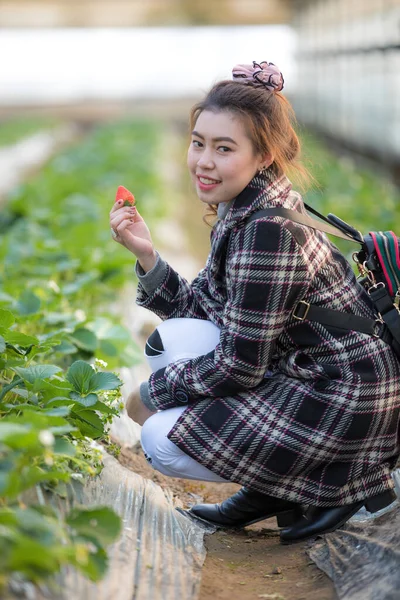 Ženy Turisté Fotografoval Jahodami Jahodové Farmě Jižní Koreji — Stock fotografie