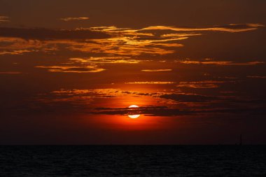 günbatımı sarı su altın ve martı silueti