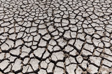 Kuraklık zemini yıktı, oduncu yağmur yağdırmıyor.
