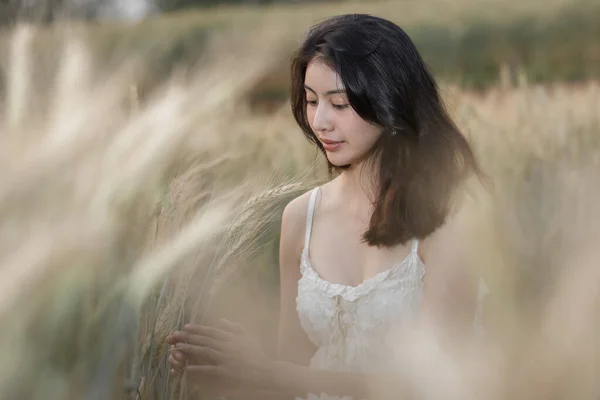 美丽的年轻亚洲姑娘在秋天的大麦稻田里悠闲自在地呆在大自然里 — 图库照片