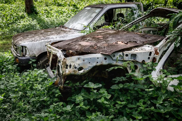 Velhos Carros Naufragar Floresta Jardim — Fotografia de Stock