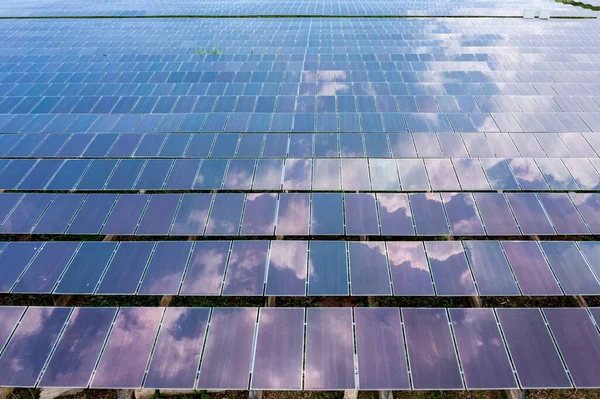 Luchtfoto Van Zonnepanelen Zonnecellen Het Dak Boerderij Elektriciteitscentrale Met Groen — Stockfoto