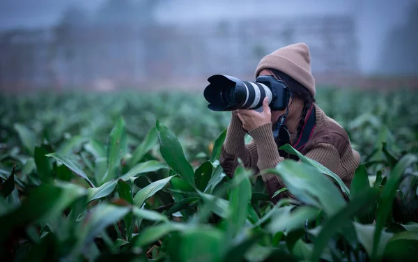 Fotograf Magazynu Kobiet Starannie Fotografuje Rolnictwie Tajlandii — Zdjęcie stockowe