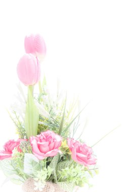 Beyaz bir arka planda laleler gül mahsulü