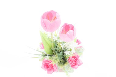 Beyaz bir arka planda laleler gül mahsulü