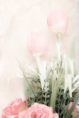 Laleler güzel, eski tarz, yumuşak odaklanma.