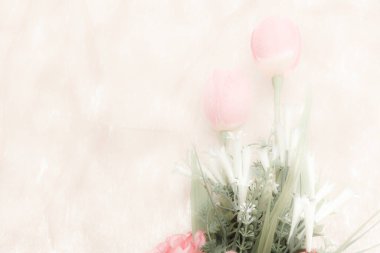 Laleler güzel, eski tarz, yumuşak odaklanma.