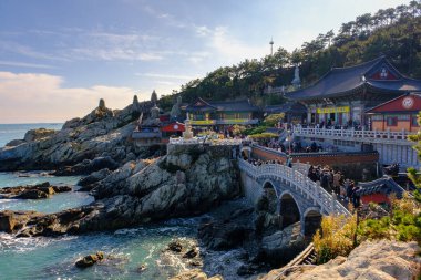 Güney Kore, Busan 'daki deniz kıyısındaki dağ tapınağı. 