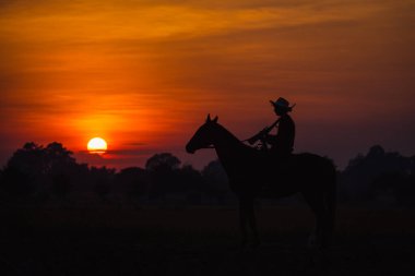 Manzara silueti kovboy atı silah taşıyor. Arka plan ise güneş.