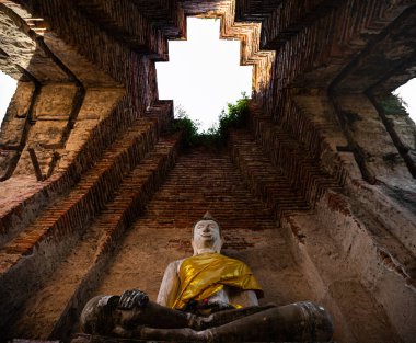 Buda heykeli tapınağın arkasındaki eski antika tuğla duvarda duruyor. Ayutthaya Tayland harabeleri, açı karınca bakış açısı ve seçici odak noktası beyaz arka plan.