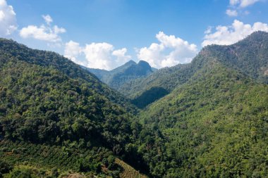 Güzel yeşil dağ manzaraları ve yağmur mevsiminde mavi gökyüzü, tropikal iklim Chiangmai Tayland 