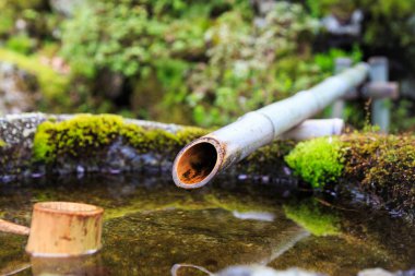 Su, bambu piposunu Japonya 'da durulandırarak yumuşak odak bulanıklaştırır.