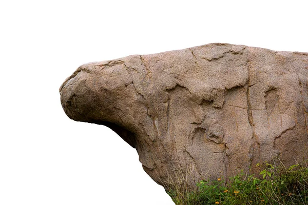 棕色山崖岩石及白色背景隔离上的详细表面 — 图库照片