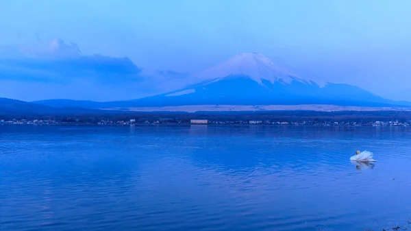 아름다운 호수와 백조의 역사적 작가니미 — 스톡 사진