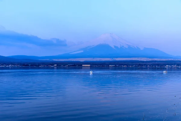 Piękny Krajobraz Rano Czas Yamanaka Jezioro Fuji Odbicia Górskie Łabędziami — Zdjęcie stockowe