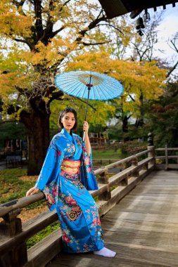 portrait thai asian woman wearing japanese traditional blue kimono and holding umbrella in autumn park  japan