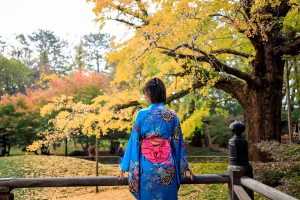 Japon Geleneksel Mavi Kimono Giyen Asyalı Kadın Portresi Sonbahar Parkında — Stok fotoğraf