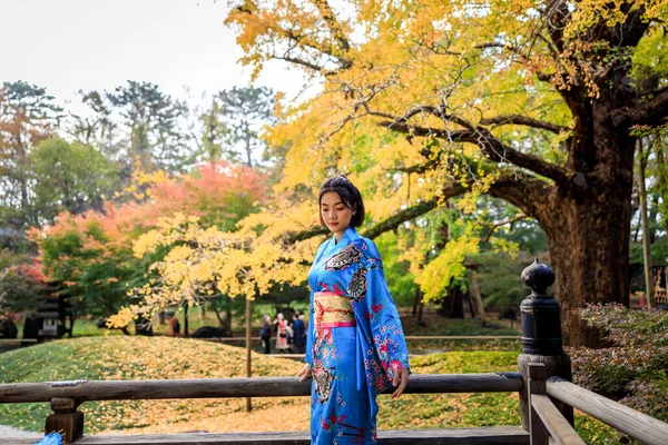 Retrato Asiático Mulher Vestindo Japonês Tradicional Azul Quimono Outono Parque — Fotografia de Stock