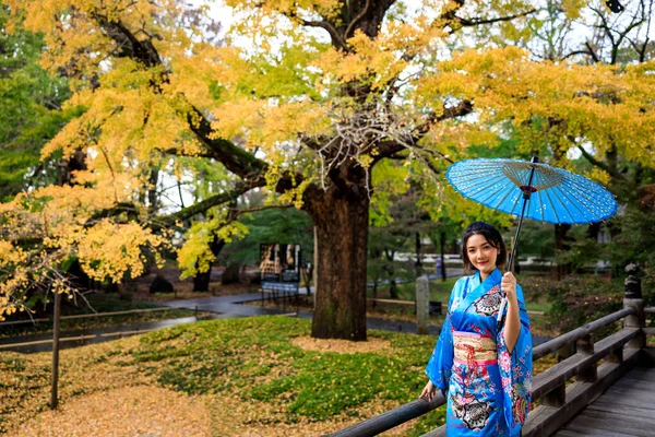 Japon Geleneksel Mavi Kimonosu Giyen Japon Parkında Şemsiye Tutan Asyalı — Stok fotoğraf