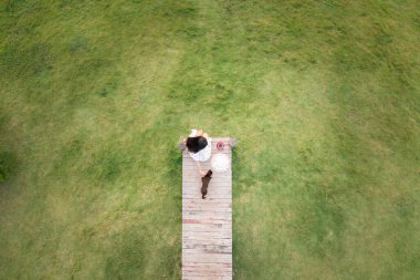 Gökyüzü manzaralı güzel Asyalı kadınlar ve kedi bahçedeki yeşil çimenlerin arkasındaki tahta köprüde dinleniyor ve sıcak kahve içiyorlar.,