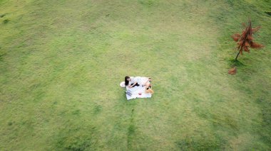 Genç Asyalı kadın yeşil camla rahatlayıp bahçede kırmızı kahve fincanıyla dizüstü bilgisayarda çalışıyor. İş teknolojisi ve serbest meslek kavramı. İHA 'dan hava görüntüsü 