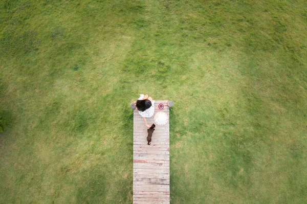Gökyüzü manzaralı güzel Asyalı kadınlar ve kedi bahçedeki yeşil çimenlerin arkasındaki tahta köprüde dinleniyor ve sıcak kahve içiyorlar.,