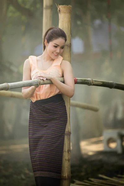 ポートレートタイのモデルは ソフトフォーカスブラーの背景にタイの伝統的な茶色のドレスを着用 — ストック写真