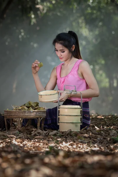 Porträt Thailändische Models Tragen Ein Traditionelles Braunes Kleid Den Hintergrund — Stockfoto